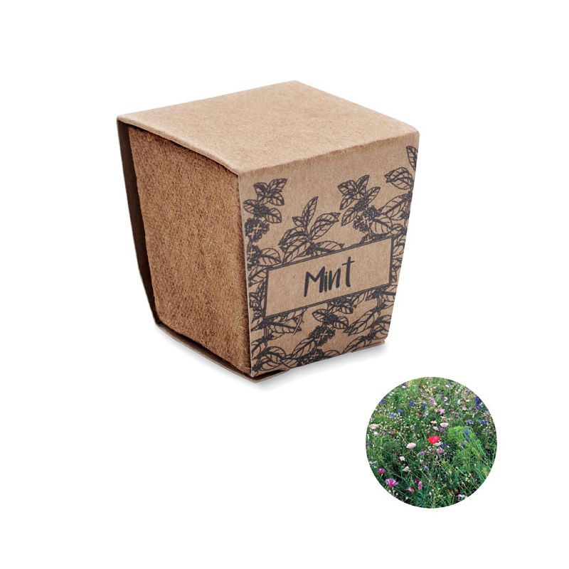 Kit cultivo semente de hortelã