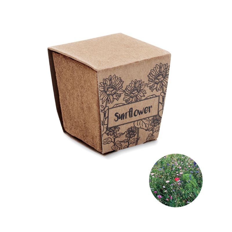 Kit de cultivo de girassol