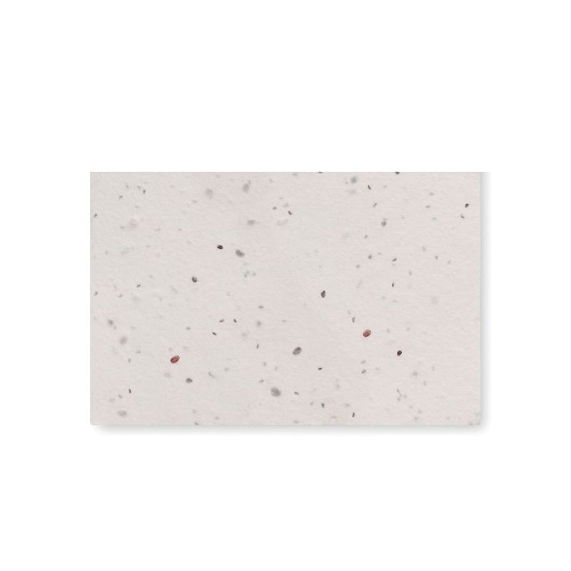 Cartão de visita de sementes de