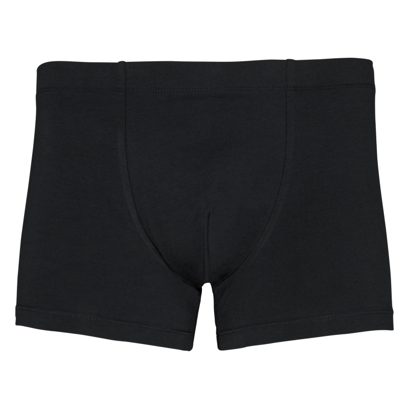 Boxer Bio de homem